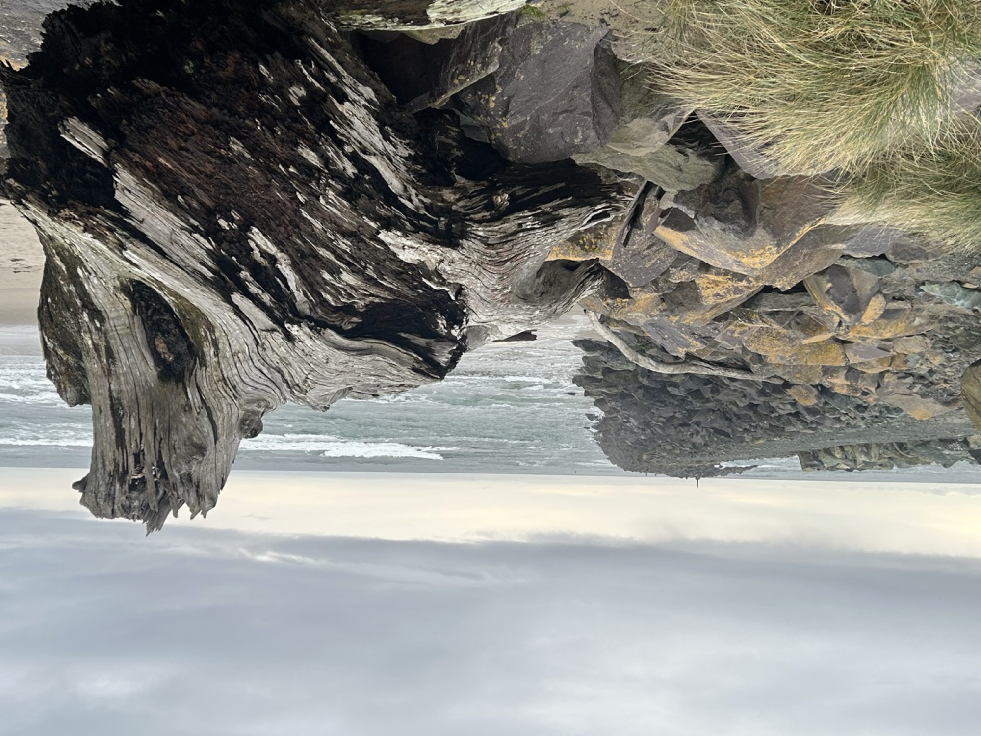 Driftwood and basalt