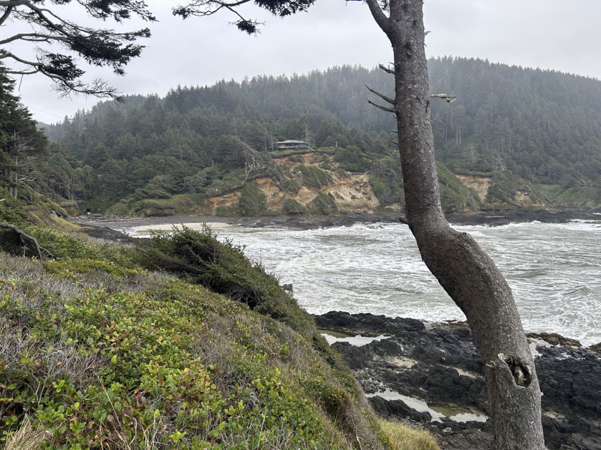 Rocky cove — Oregon Coast
