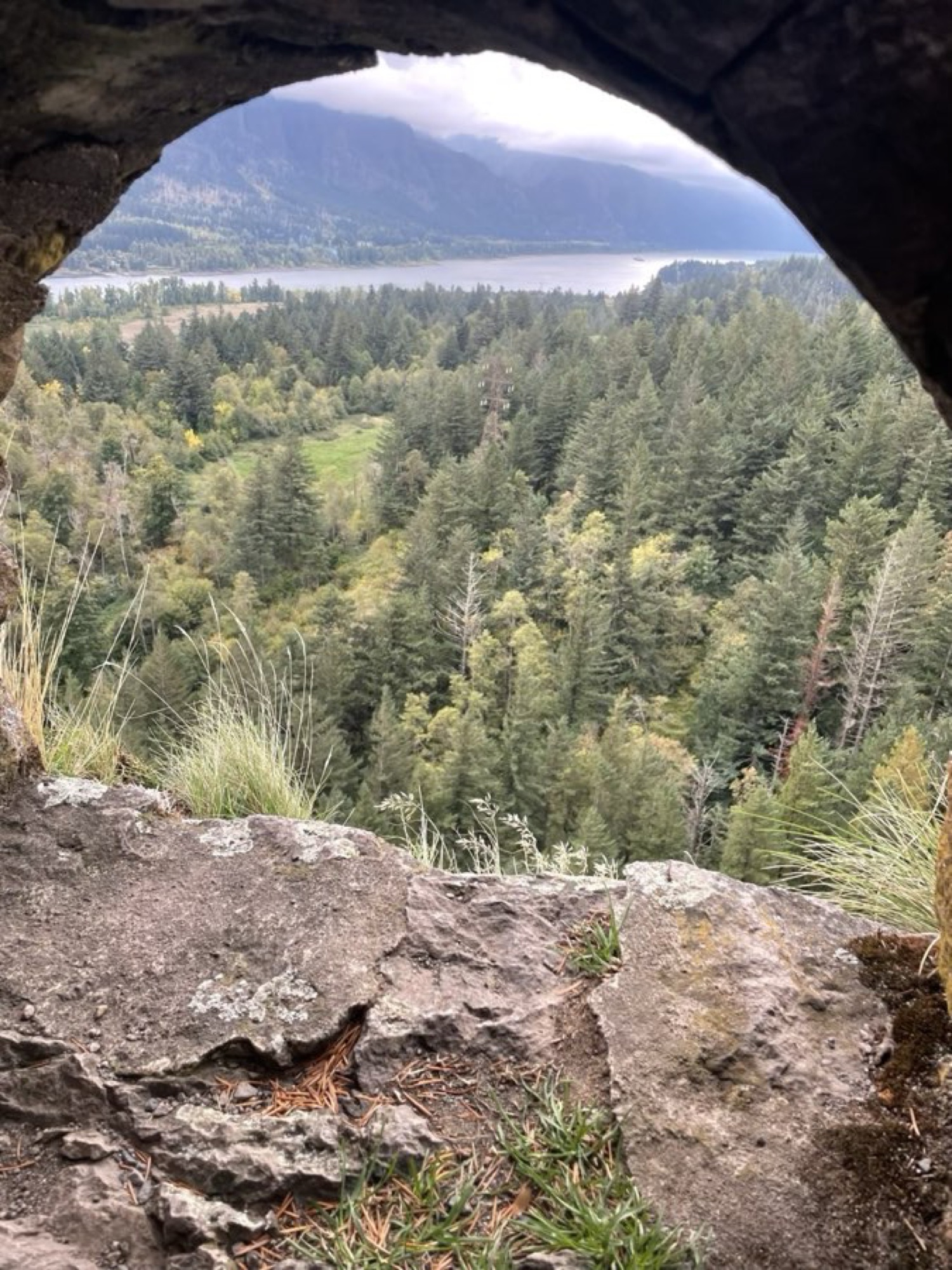 Multnomah Falls framed through mossy iron gate