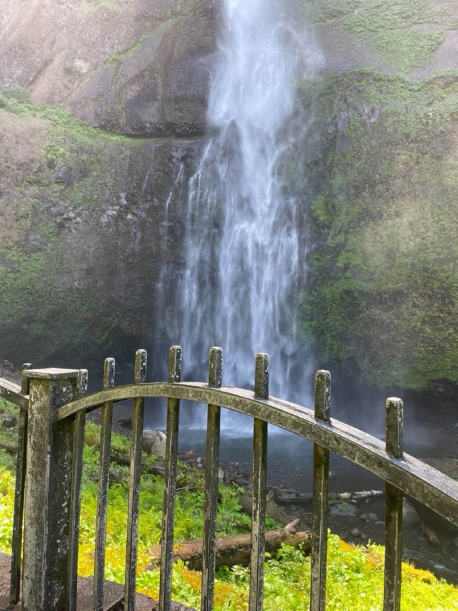 Multnomah Falls cascading down basalt cliff
