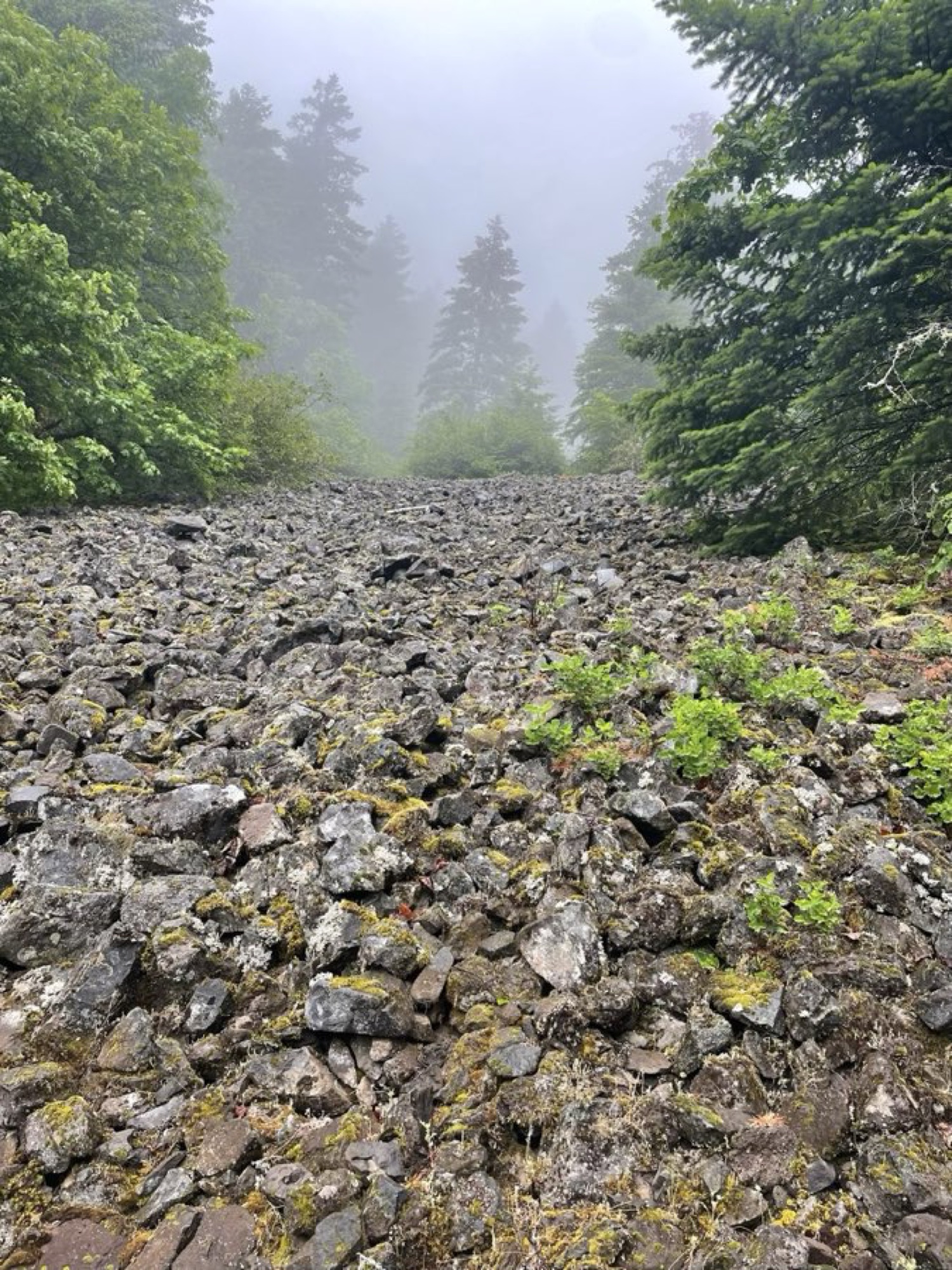 Moody misty basalt rock formation in the Gorge