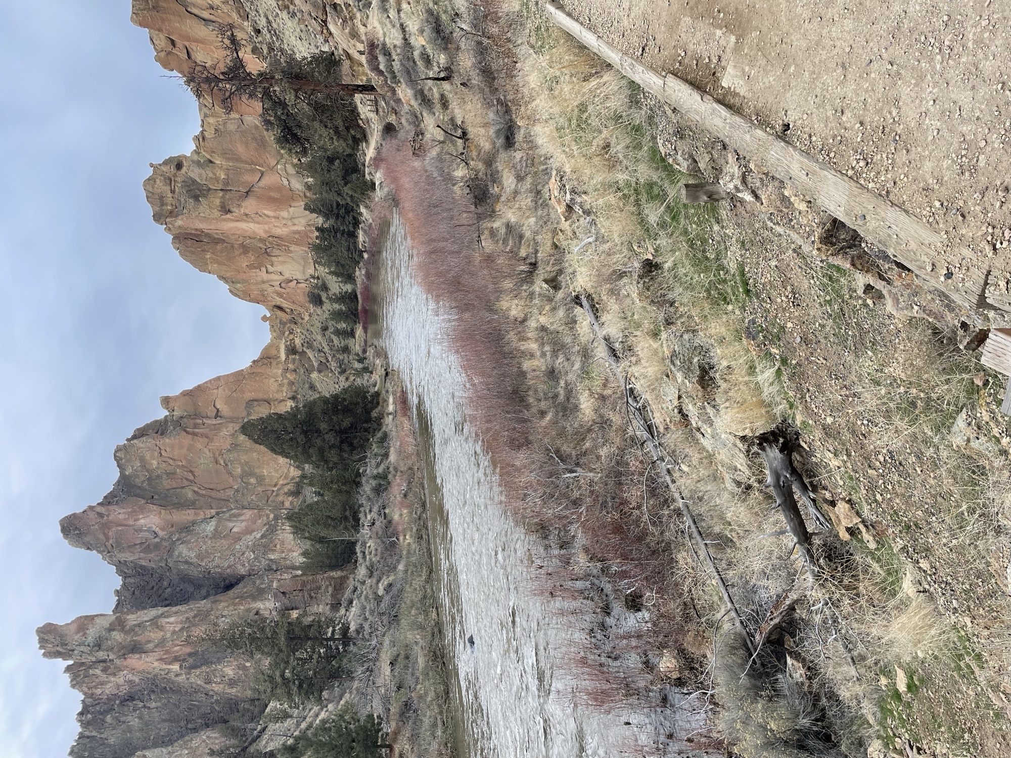 Smith Rock river level view
