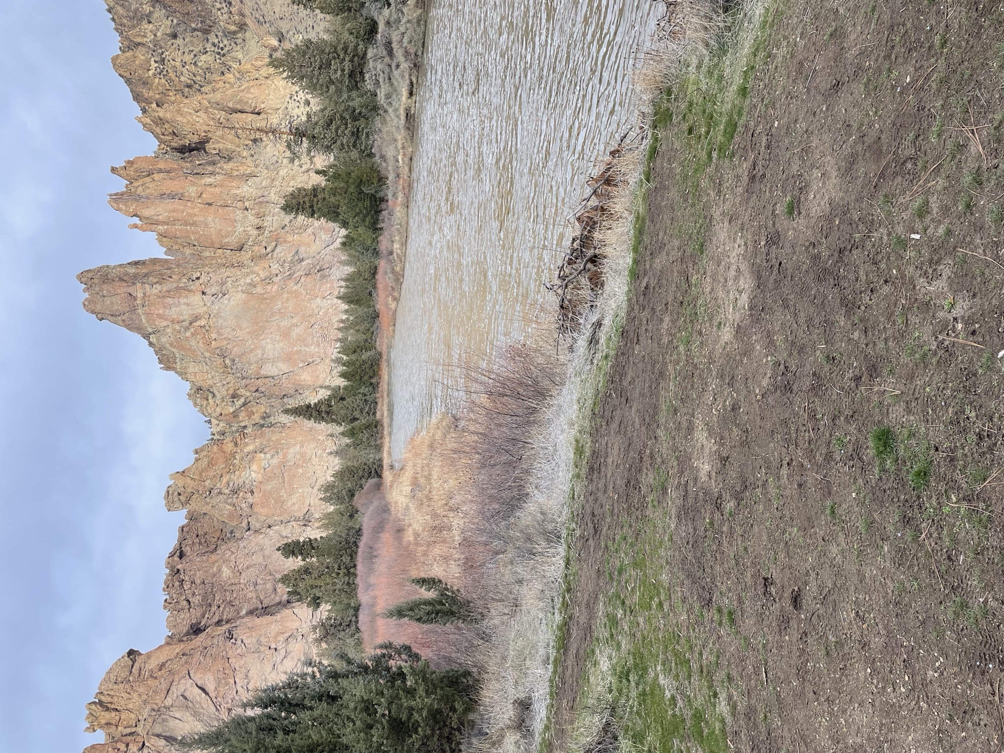 Smith Rock golden spires and river